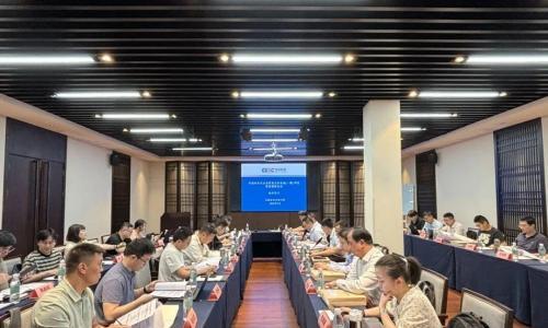 安徽新能源公司顺利召开华润州来凤台县张集光伏电站(一期)项目配套储能项目初步设计审查会议