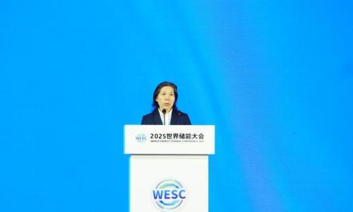 2025WESC|"储能市场与应用"主题论坛在福建宁德成功举办
