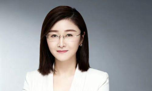 柳娜获电池行业先进个人,引领星辰新能驶入储能3.0新航道