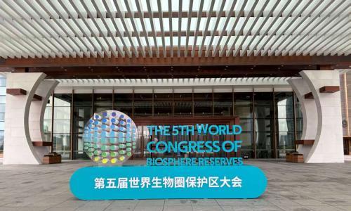 杭州1000多辆公交搭载亿纬锂能开源电池: 五年跑30万公里,电池健康度仍近九成