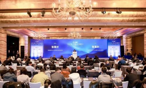 2025(第二十一届)分布式能源大会在京召开